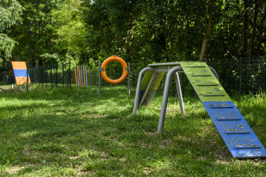 Dog Agility Area