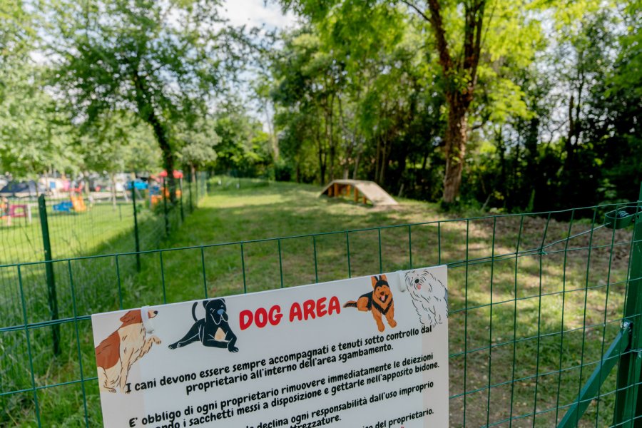 accesso ai cani