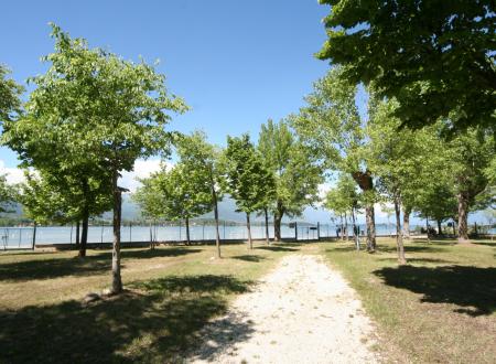 Area green 1