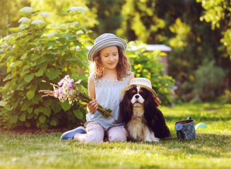 vacanza cane bambini Garda