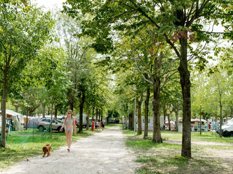 Piazzola Natural Green - Foto 7