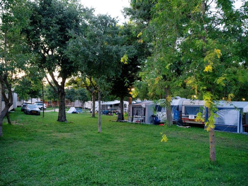Piazzola Natural Green - Foto 8