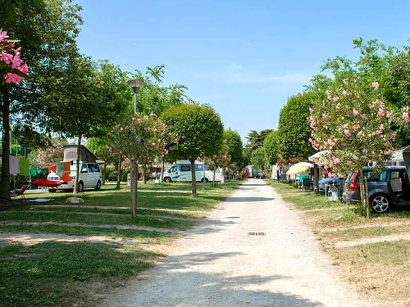 Piazzola Comfort - Foto 6